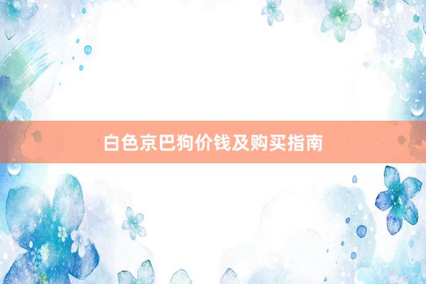 白色京巴狗价钱及购买指南