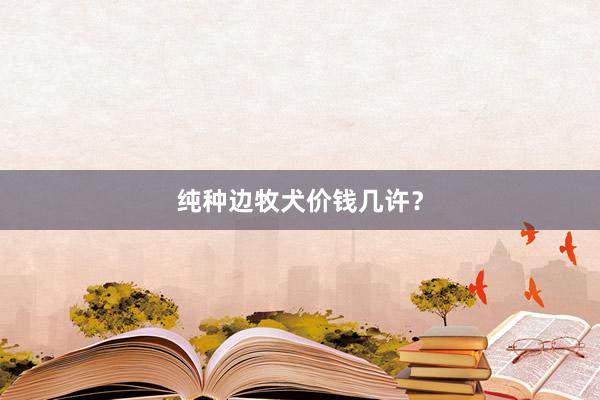 纯种边牧犬价钱几许？