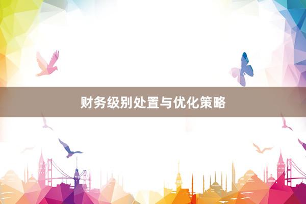 财务级别处置与优化策略
